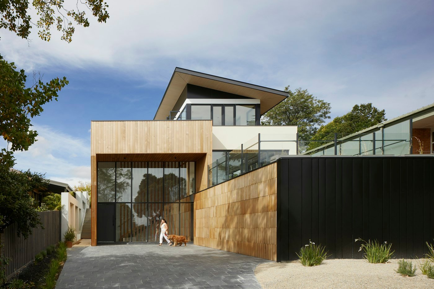 A modern timber and white house with a paved drive, a black fence, and a person walking a dog